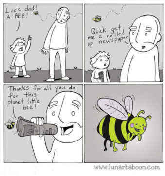 Bee Medicine