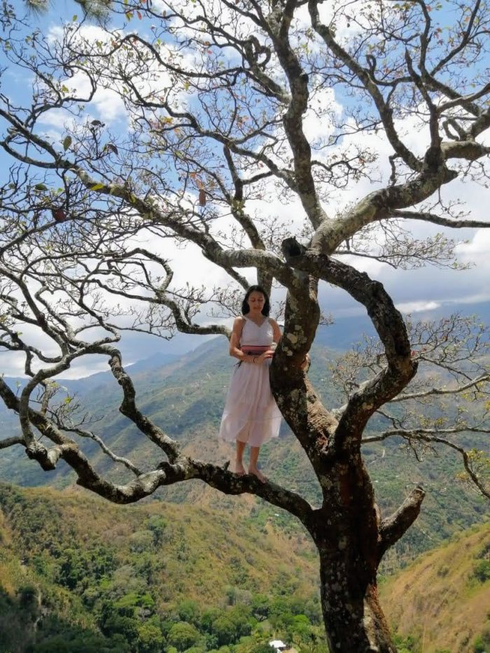 Carolina of Luminous Five standing on a tree branch high above the mountains, embracing the energy of nature.